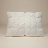 Goose feather pillow
