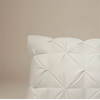 Goose feather pillow